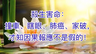 230：惡報連連丨殺生害命：撞車、瞎眼、肺癌、家破，才知因果報應不是假的！