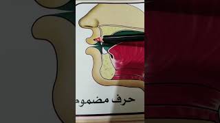 #الحلقة ( 7️⃣) إتمام الحركات