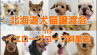 令和4年8月26.27.28日☆北海道犬猫譲渡会inイエローグローブ斜里店開催☆