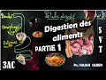 La digestion - Partie 1 : La bouche et l'œsophage