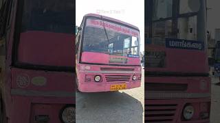 💢TNSTC Dindigul to Kannivadi🚎#shorts #trending #tnstc #bus #shortsfeed #time2turn #dindigul #travel