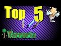 Terraria Rarest Items | Terraria Top 5 Rare Items