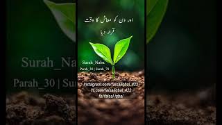 Surah Naba urdu translation  #respect