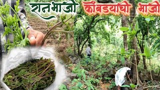 बाजारात न मिळणारी भाजी | कोंबड्याची भाजी | रानभाजी | wild vegetables| @amolthigalevlogs8786