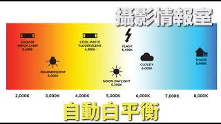 「攝影情報室」教學篇：自動白平衡 #白平衡