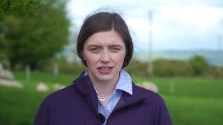 Mixed Grazing System - Jarlath and Austin Ruane - Teagasc Green Acres Participants