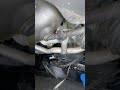 BMW 740i 2001 water pump failure