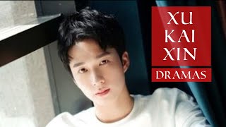 Xu Kai Xin Dramas List