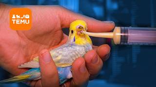 Amazing $1 Temu finds for your Budgie Birds