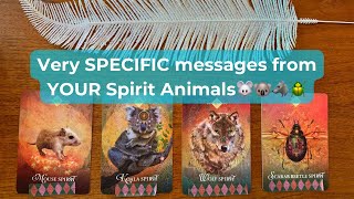 Very SPECIFIC messages from your SPIRIT ANIMALS 🐭 🐨 🐺 🪲