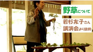 食養【野草について】若杉友子さん講演会