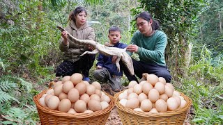 harvesting chicken eggs to sell at the store, regretting that the crocodile did not survival