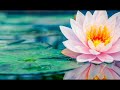 mindfulness of emotions guided meditation