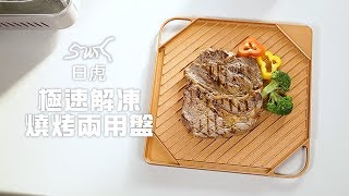 日虎解凍盤｜廚房急速解凍好幫手