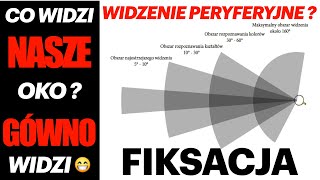 WYKŁAD 10 CO WIDZI NASZE OKO? - fiksacja / widzenie peryferyjne / motocykle są wszędzie