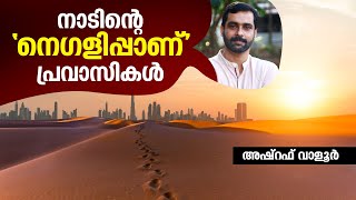 നാടിന്റെ 'നെഗളിപ്പാണ്' പ്രവാസികൾ | അഷ്റഫ് വാളൂര്‍ | Expats are the pride of the nation | Malayalam