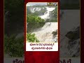 heavy rain in chamarajanagar bharachukki waterfalls ಮಳೆಗೆ ಮೈದುಂಬಿ ಹರಿಯುತ್ತಿರುವ ಭರಚುಕ್ಕಿ ಜಲಪಾತ