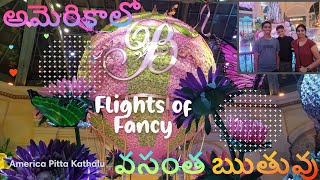 Flights of Fancy - America Spring!  అమెరికాలో వసంత ఋతువు వచ్చిందోచ్ !! #Spring #USA #2022