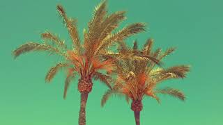 Chill out Music - Chill out under the Palms Playlist Mix Vol. 2 (1 hour 40 min)
