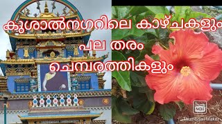 കുശാൽ  നഗർ. goldan temble