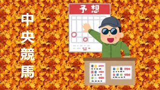 2022年10月8日　中央競馬予想(東京、阪神)