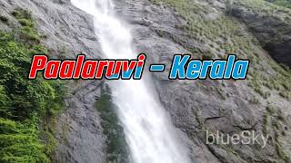 Paalaruvi - Short video 🥰🥰🥰 #bluesky #waterfallskereala #palaruvi #paalaruvi