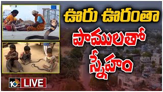 LIVE : పాముల అడ్డాగా షెత్‌ఫాల్ గ్రామం | Shetphal Village Land of Snakes in Maharashtra | Mystery