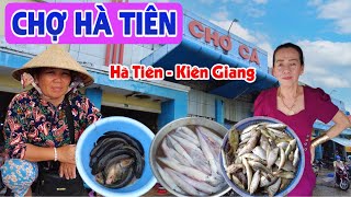 Chợ Hà Tiên - Kiên Giang: Chợ Du Lịch, Thiên Đường Mua Sắm Hải Sản Biển | Đây Đó Miền Tây