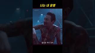 너는 내 운명