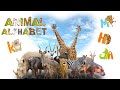 Real Animal Alphabet Song: Learn A to Z with Live Animal Videos