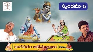 Bhagavatham Animuthyalu - 5 || Parthu Nemani || iBAM USA