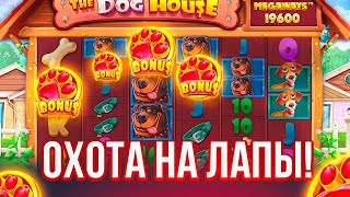 ОХОТА НА ЛАПЫ в The Dog House MegaWays! ПОЙМАЛ 4 ЛАПЫ И ЗАНЕС?!