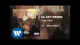 Lil Zay Osama - She Like (Official Audio)