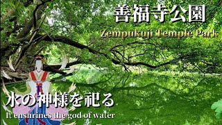 善福寺公園/遅野井の滝～源頼朝伝説の湧き水/水の神、市杵島神社【東京都杉並区】Zempukuji Temple Park/Osonoi Falls/Suginami-ku, Tokyo.