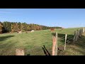 nationalpark eifel schöneseiffen einruhr