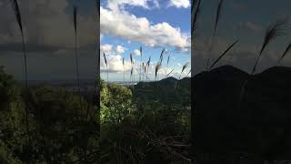 静岡県藤枝市　葉梨(はなし)神社ハイキングコース