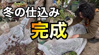 長らくお待たせしました！！！【園芸超人カーメン君】