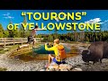 The Shocking Behavior of Park Visitors Revealed! Yellowstone's Touron Tales