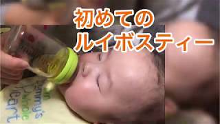 【離乳食の道】初めてのルイボスティー