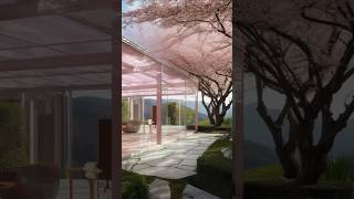 Luxury Cherry Blossom House Design - HOME DECOR IDEAS ~ nature inspired home | i’ll HOME mate