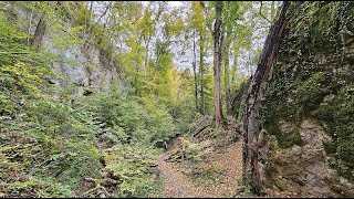 Wanderung im Schwarzwald - Wolfsschlucht Runde von Kandern