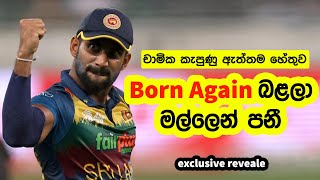 Born again බළලා මල්ලෙන් එළියට - චාමික කැපුණ ඇත්තම හේතුව මෙන්න (Exclusive Reveale)