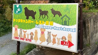 【古賀】ノーリードで愛犬と泊まれるキャンプ場　のんびり過ぎて見飽きちゃうwwwドッグキャンプ\u0026ドッグラン\u0026ドッグカフェ