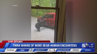 TWRA warns of more human-bear encounters as tourism increases