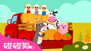 農場動物合唱團 🐷🐤🐑 動物兒歌 農場之聲 | 臺灣配音 注音字幕 童謠 兒童歌曲 Kids Songs | 鯊魚寶寶 Baby Shark 碰碰狐 Pinkfong!