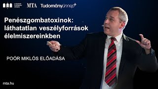 Penészgombatoxinok: Láthatatlan veszélyforrások élelmiszereinkben