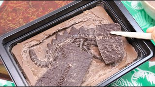 Discover Dinosaur Fossil Chocolate Kit Jurassic Chocolate Dig Up Old Book