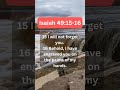 ✝️🤲 Daily Bible Verses--- Isaiah 49:15-16 #shorts #bibleverse #god #pray #trustgod  #jesus