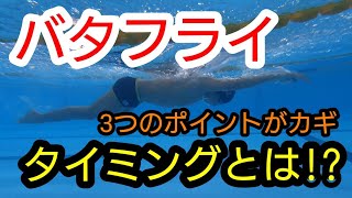 【水泳】【初級】バタフライのタイミングとは⁉