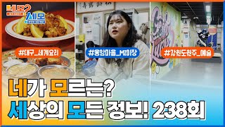 [네모세모] 238회 Full ver. 네가 모르는? 세상의 모든 정보! l 대구 세계의 맛 l 26살 MZ 이장 l 강원도 원주 예술